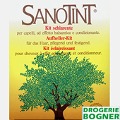 san_auf.jpg